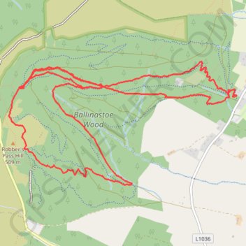 Ballinastoe Wood Loop MTB trail, distance, elevation, map, profile, GPS track