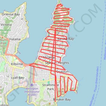 New trail, distance, elevation, map, profile, GPS track