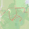 2026-10-24_09-56_Satholmes jungle trail, distance, elevation, map, profile, GPS track